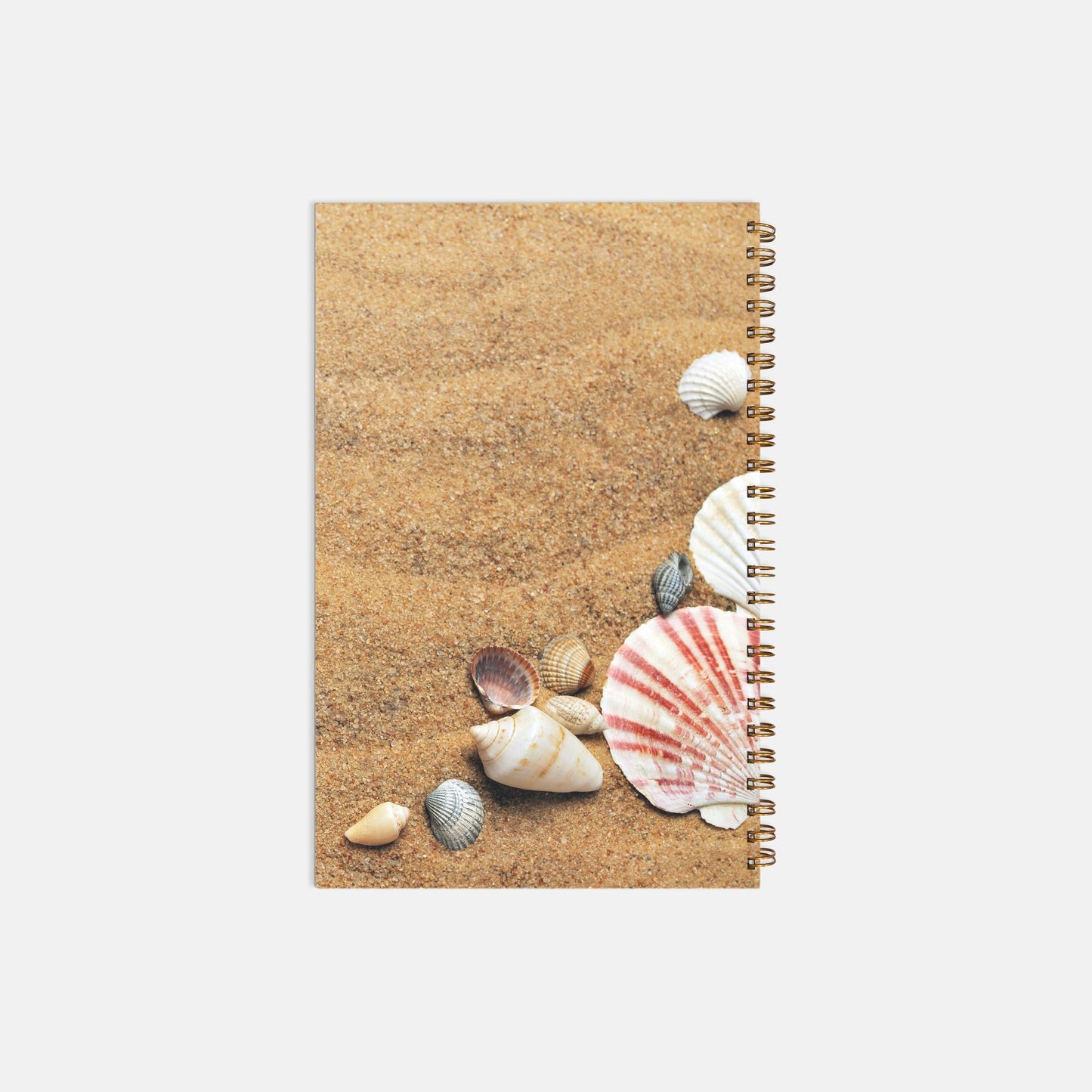 Sand and Shells Notebook Hardcover Spiral 5.5 x 8.5