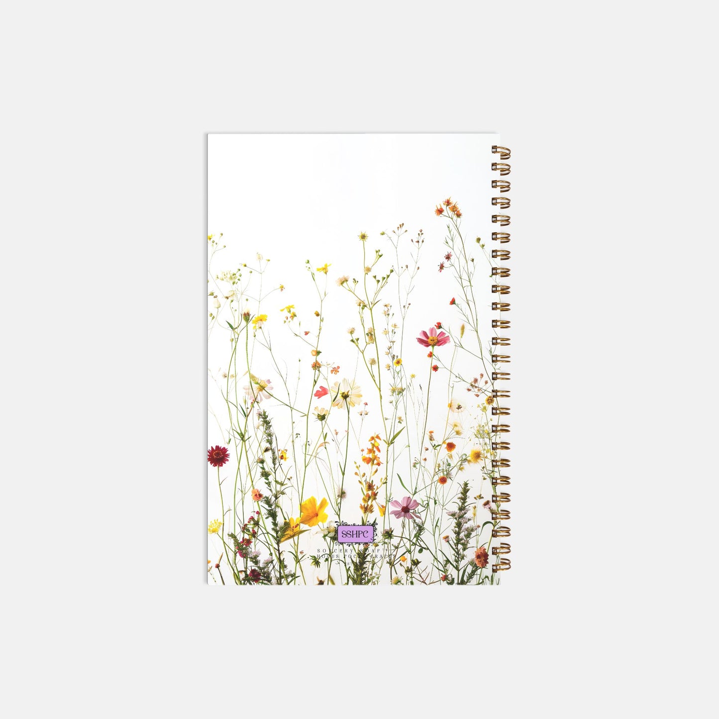 hocus pocus journal notebook