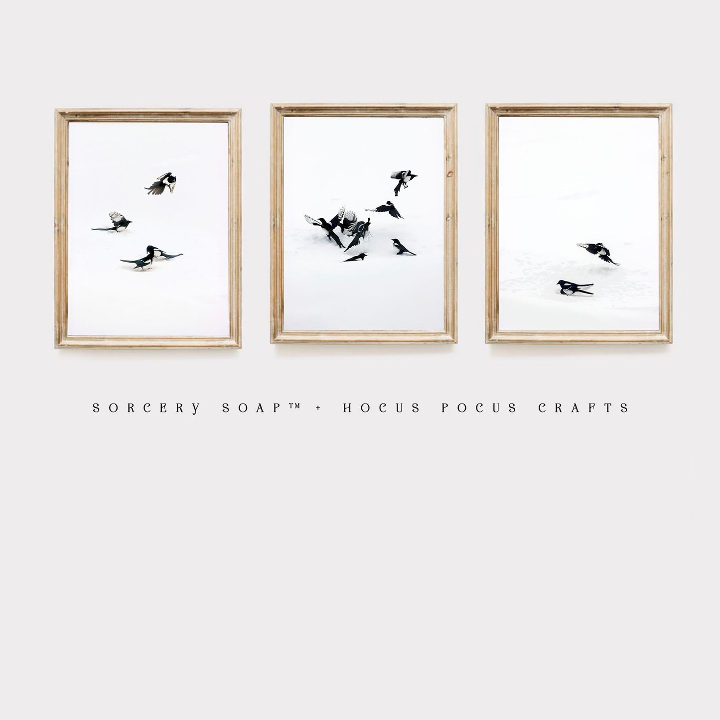 Mischief of Magpies Poster - 16" x 20"