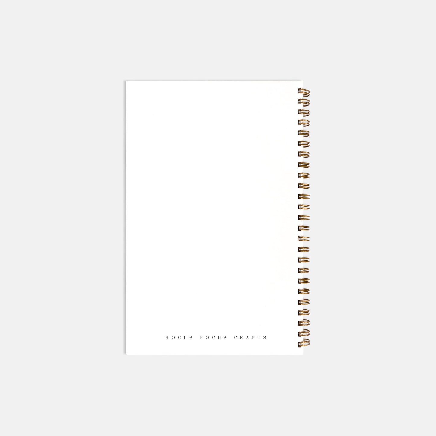 hocus pocus journal notebook