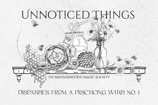 DISPATCHES FROM A PRACTICING WITCH No. 1 - Unnoticed Things