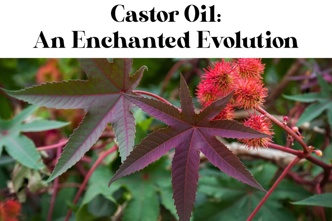 Castor Oil: An Enchanted Evolution Sorcery Soap