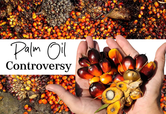Palm oil Light and Dark of a Controversial oil