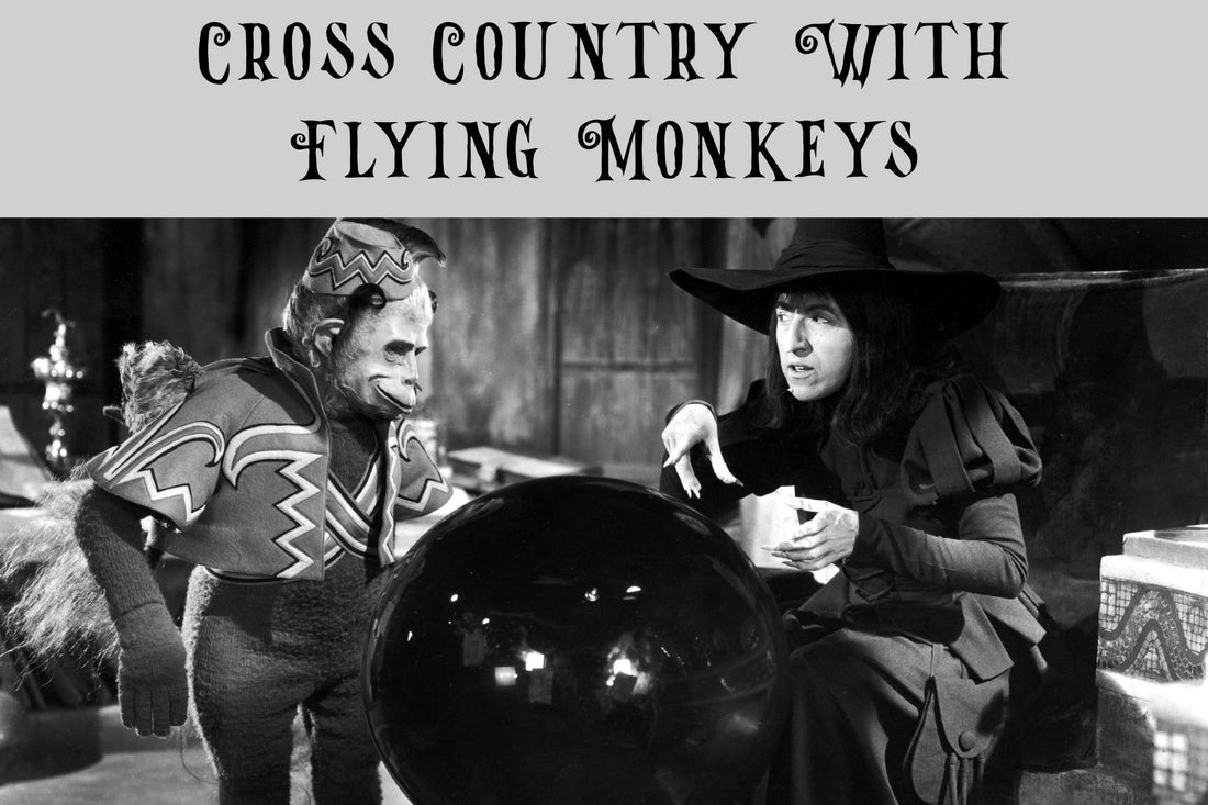 Cross Country With Flying Monkeys, Baby Chicks And Fear Glitter