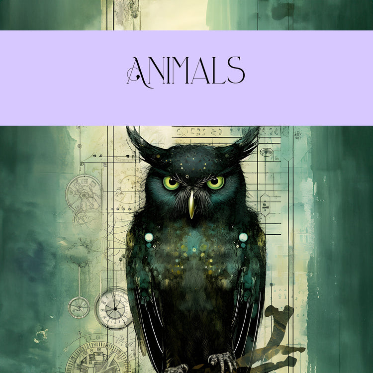 Animal Cards