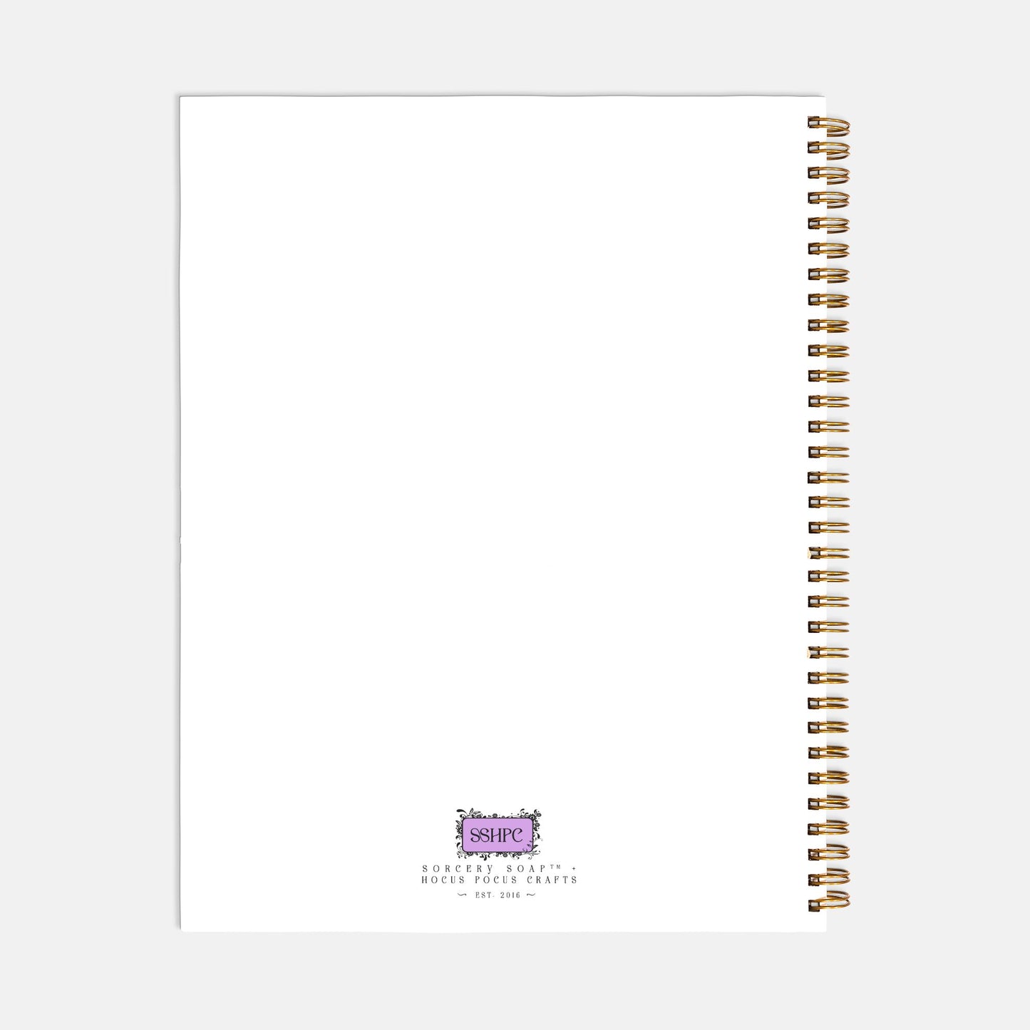 hocus pocus journal notebook