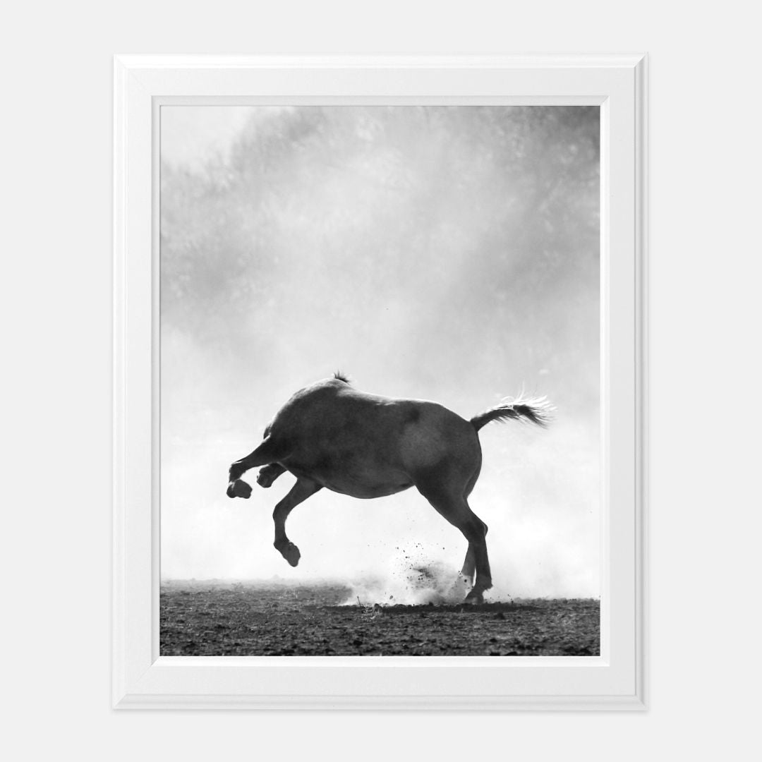 Horse Fun Print 8 x10
