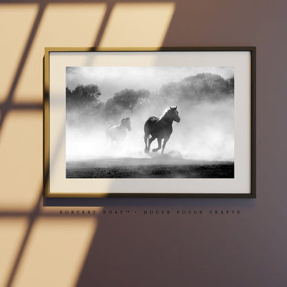 Morning Fog Horse Print Horse Rescue