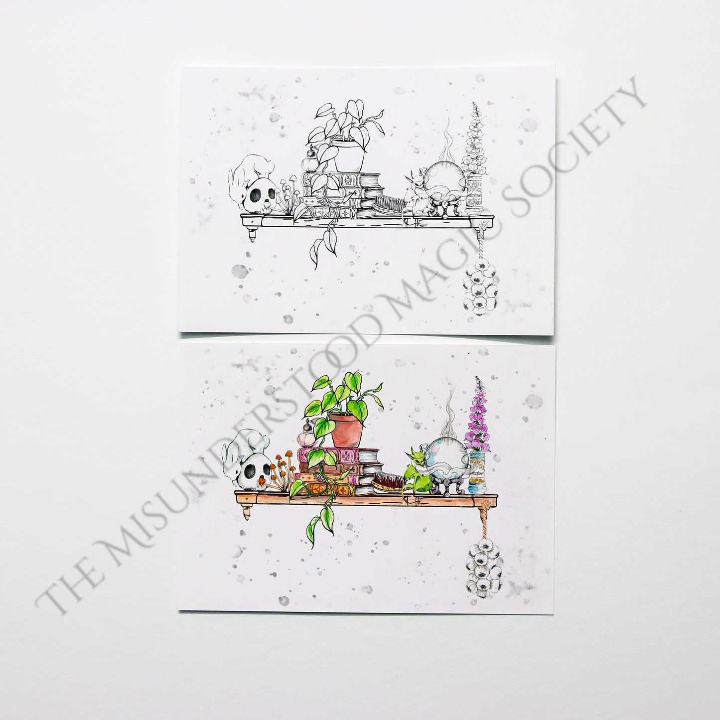 Misunderstood Magic Society Mail Club Subscriptions