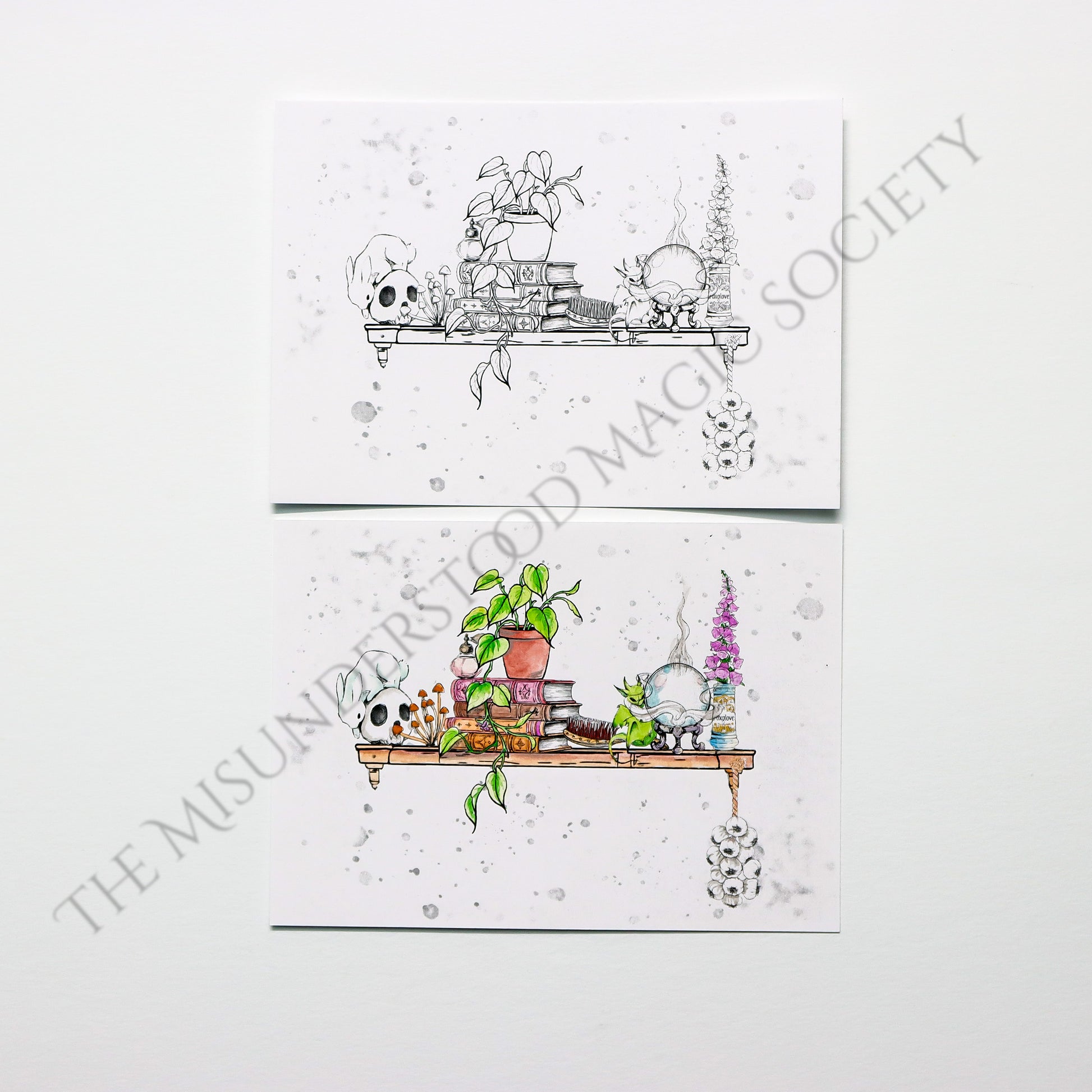 Misunderstood Magic Society Mail Club Subscriptions