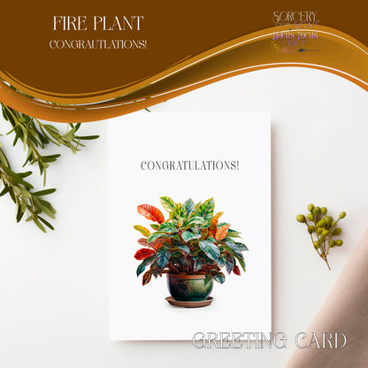 Fire Plant Congratulations Greeting Card 