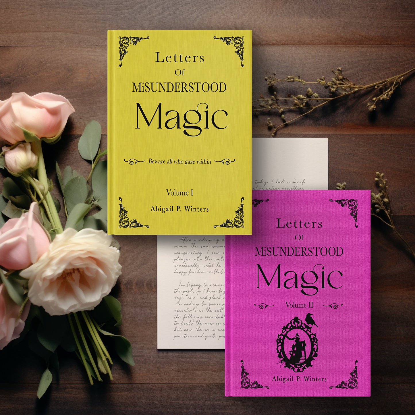 Letters of Misunderstood Magic Vol 1 eBook