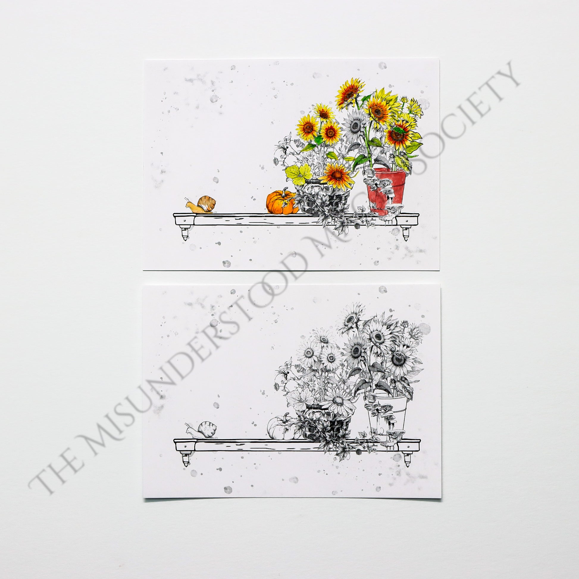 Misunderstood Magic Society Mail Club Subscriptions