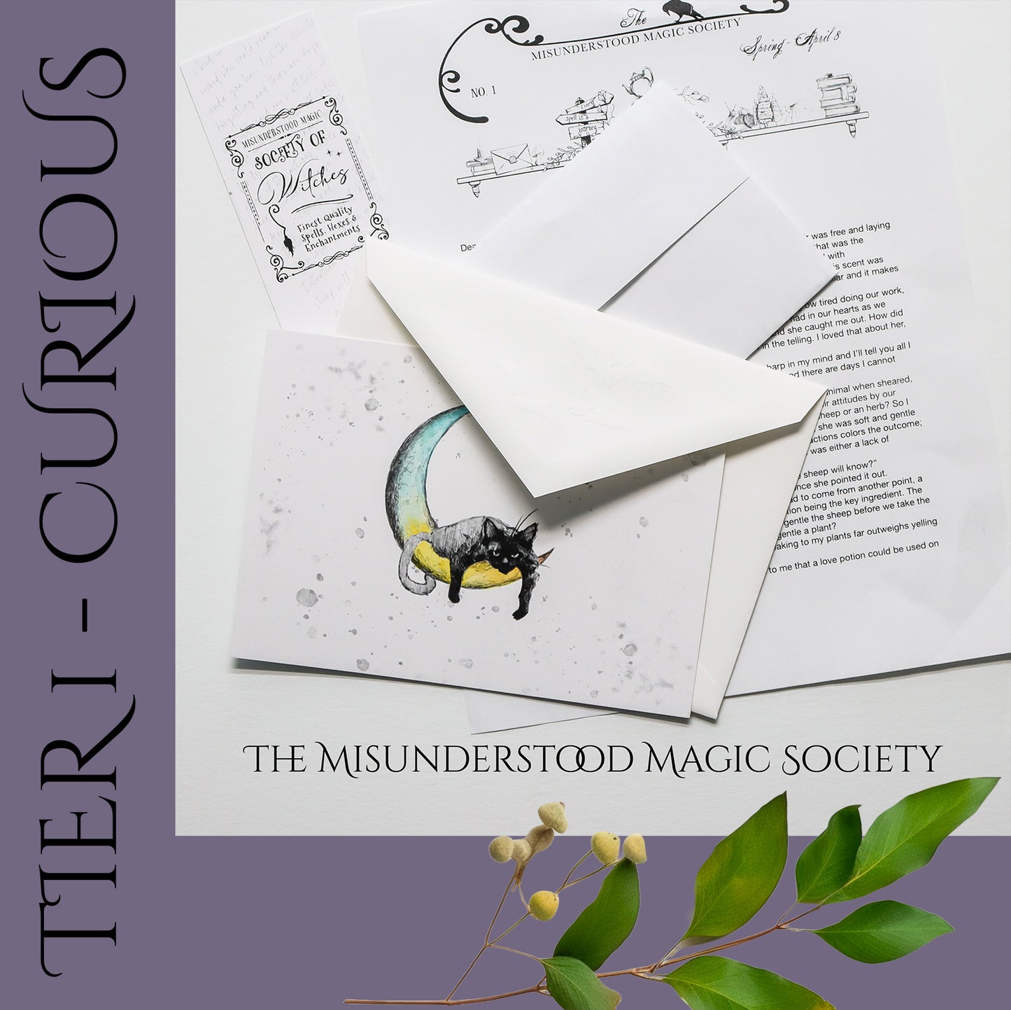 Misunderstood Magic Society Mail Club Subscriptions