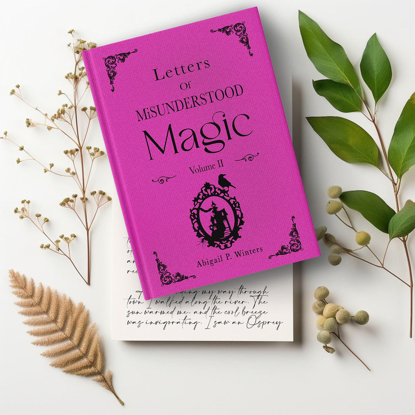 Letters of Misunderstood Magic Vol 2 eBook