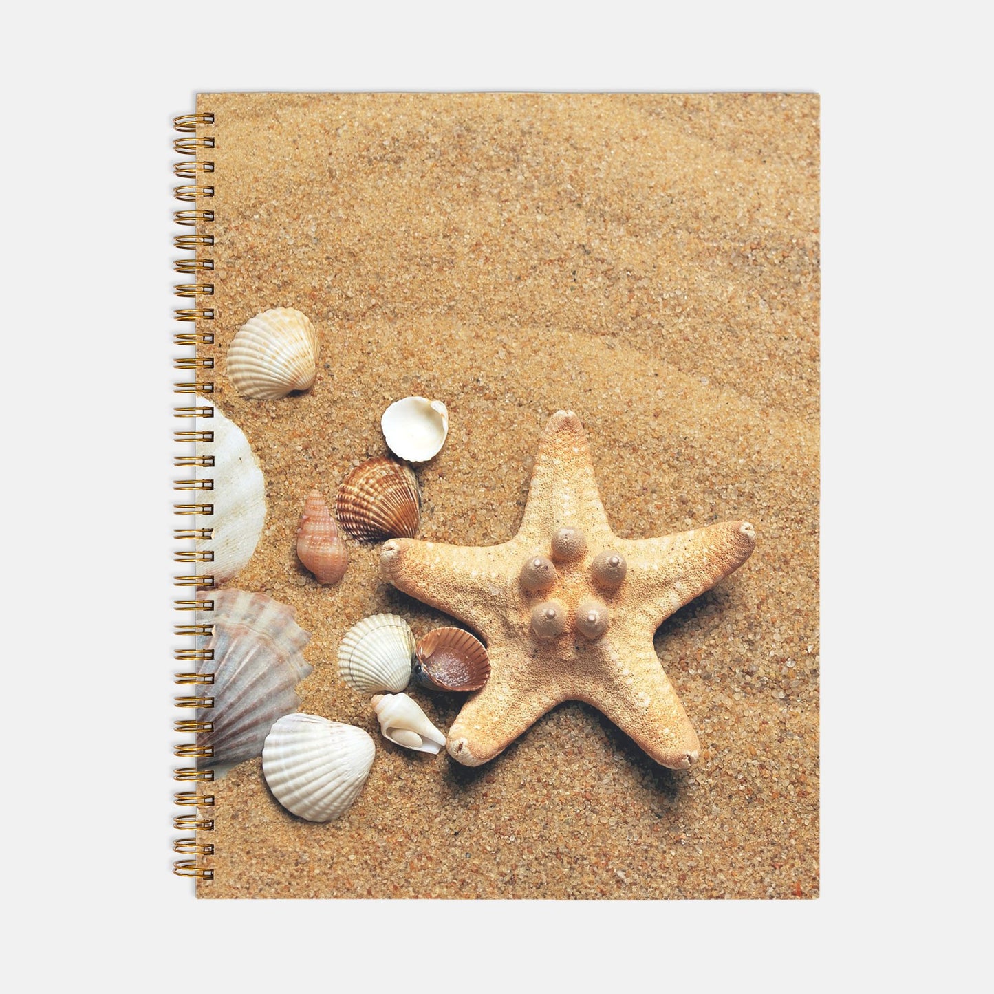 Sand and Shells Journal Notebook Hardcover Spiral 8.5 x 11