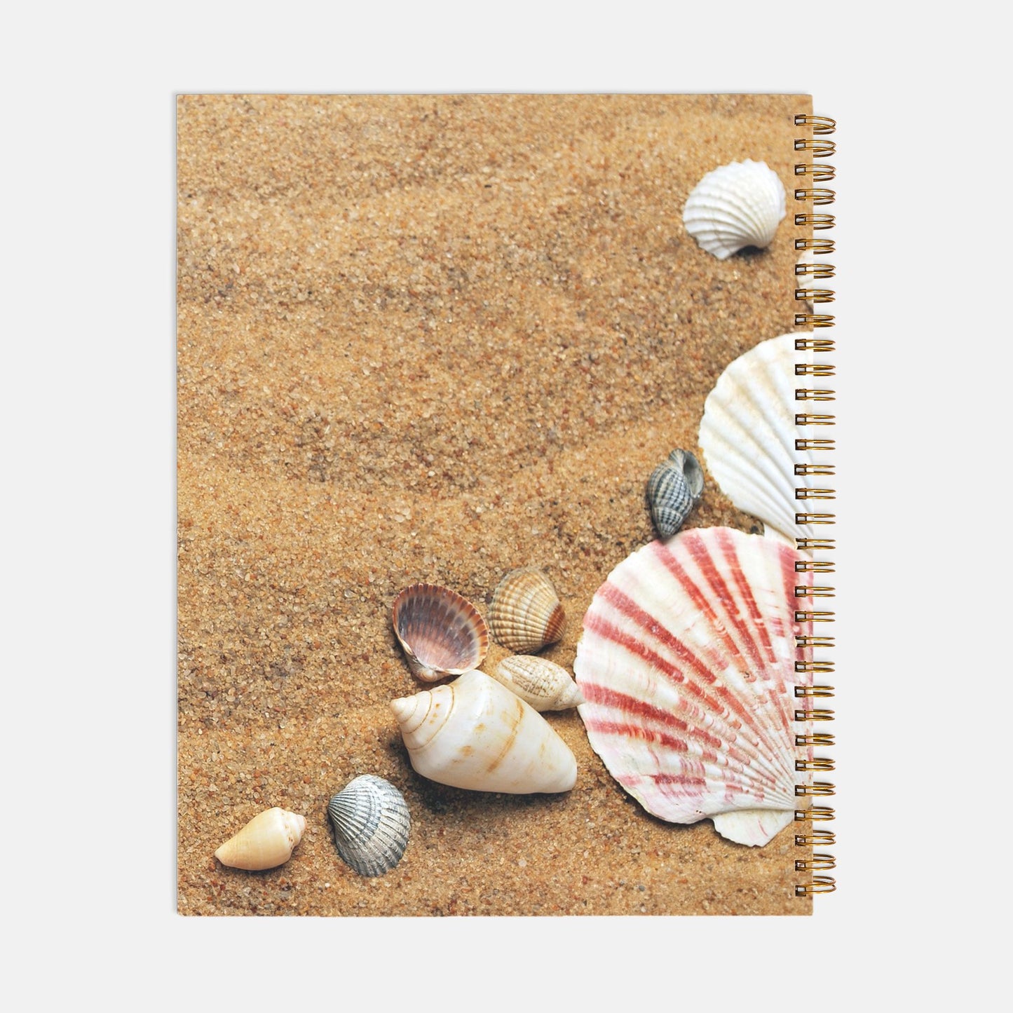 Sand and Shells Journal Notebook Hardcover Spiral 8.5 x 11