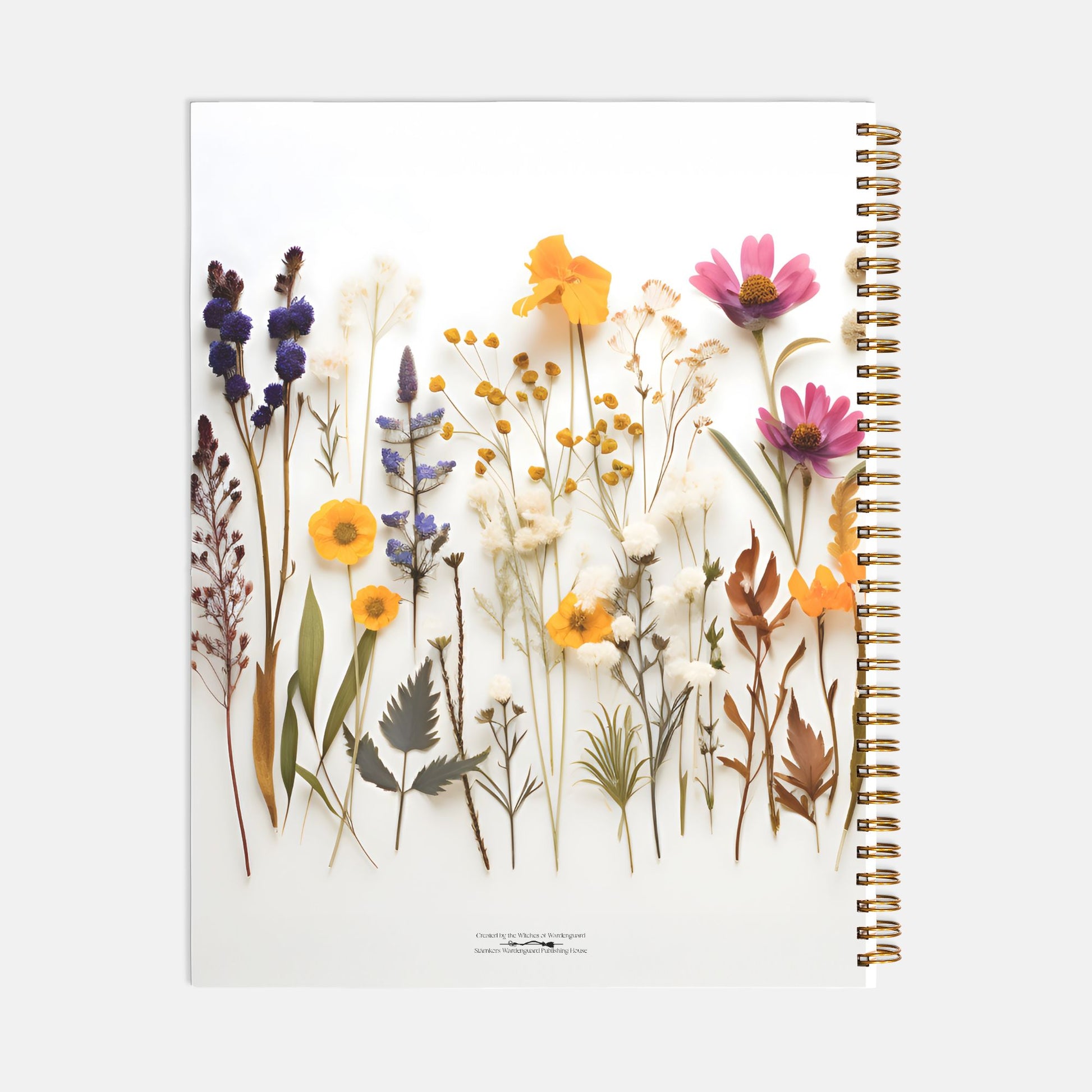 Dried Flowers by the Witches of Wardenguard 8.5 x 11